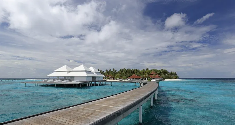 Alone on Purpose: Why the Ultra-Wealthy Are Choosing Solitude Over Status Dinners