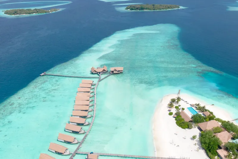 Disconnected to Lead Better: How the World's Most Effective Executives Are Finding Strategic Clarity in the Maldives