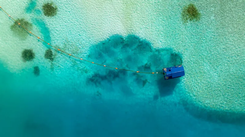 What the Indian Ocean Actually Does to Your Body: The Surprising Physiology Behind Kanuhura's Healing Waters