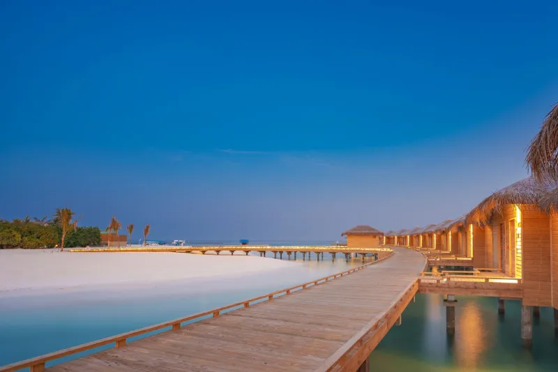 Less, Perfected: The Radical Simplicity Redefining What Five-Star Actually Means